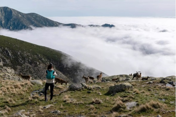 Escalada sin dejar huella: cómo disfrutar de la montaña sin poner en riesgo la naturaleza