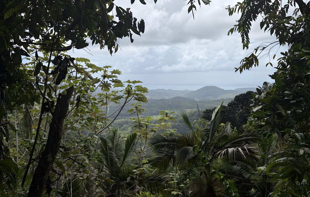 El Yunque: donde la selva deja de ser un paisaje para convertirse en una experiencia