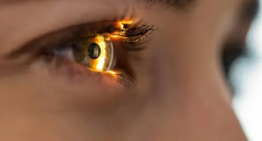Las seis vitaminas y suplementos que debemos tomar para cuidar la salud ocular