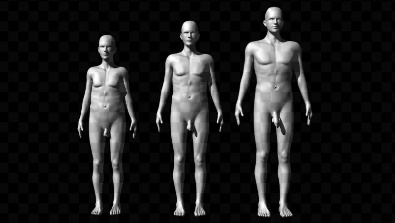 ¿El tamaño importa? Un estudio analiza la relación entre el tamaño del pene, la altura y el atractivo sexual