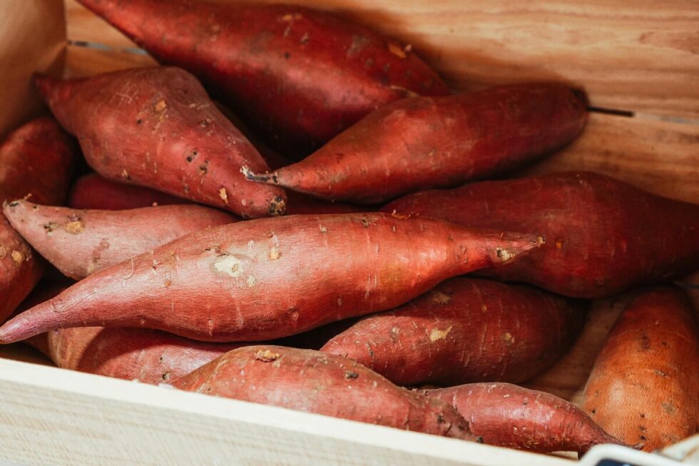 Ni fritos ni cocidos: esta es la mejor forma para preparar los boniatos para conservar sus nutrientes