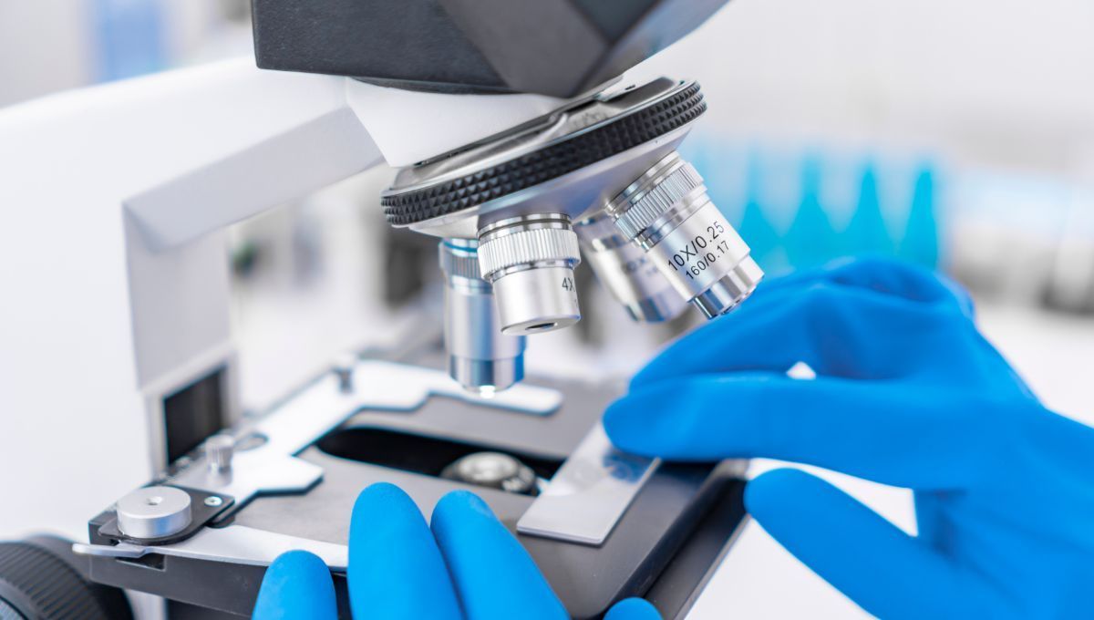 La ética entra en tiempo real en la investigación con modelos embrionarios humanos