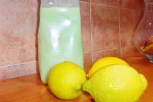 COMO HACER LAVAVAJILLAS ECOLÓGICO