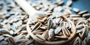 El poder nutricional de las semillas: Beneficios para la salud y el bienestar