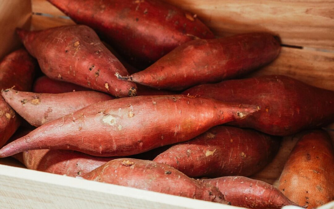 Ni fritos ni cocidos: esta es la mejor forma para preparar los boniatos para conservar sus nutrientes